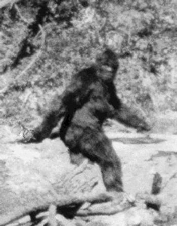 Credit: The Patterson-Gimlin film