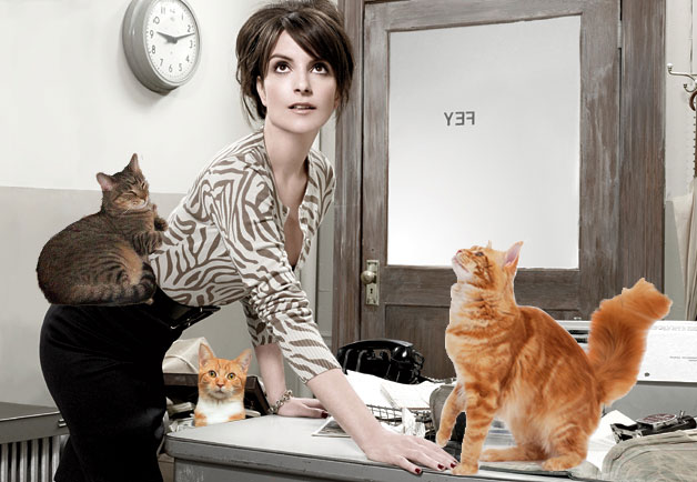 TinaFeyWithACat